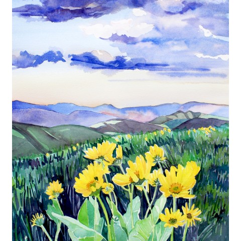 Bethany Wray