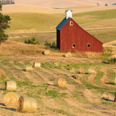 Red Barn and Hay Bales