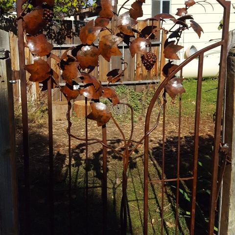 Katy's grape gate